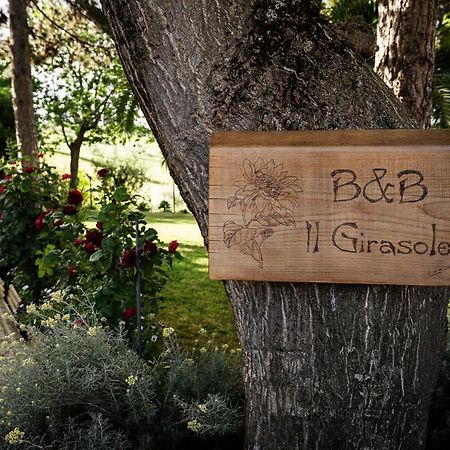 Il Girasole Bed & Breakfast Basciano Ngoại thất bức ảnh