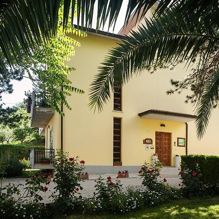 Il Girasole Bed & Breakfast Basciano Ngoại thất bức ảnh