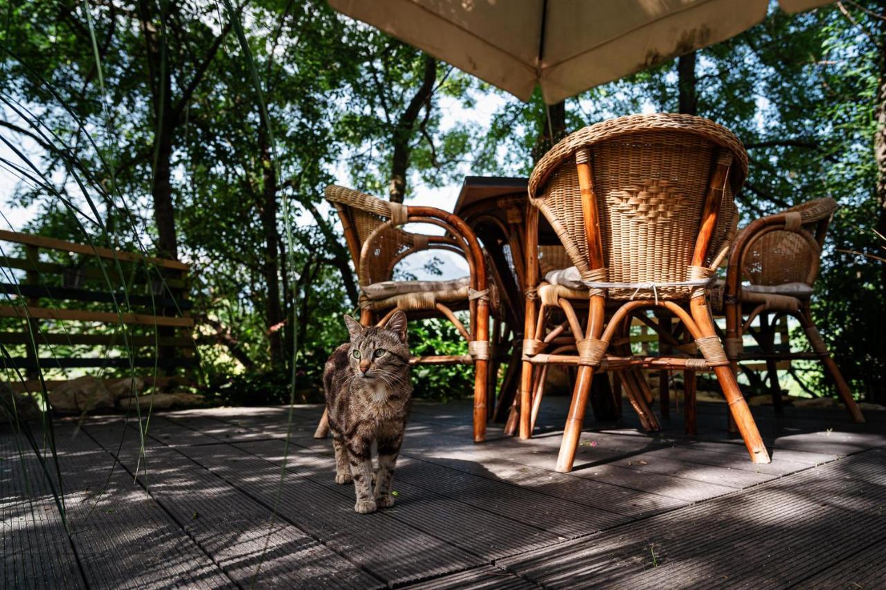 Il Girasole Bed & Breakfast Basciano Ngoại thất bức ảnh